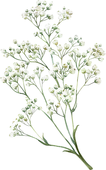 Ornaments