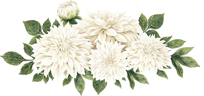 Ornaments
