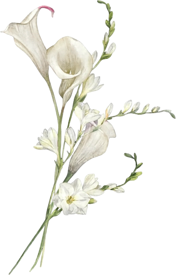 Ornaments